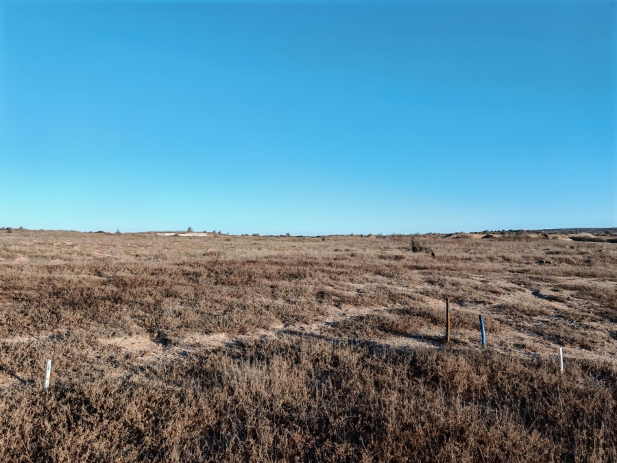 0 Bedroom Property for Sale in Langebaan Country Estate Western Cape